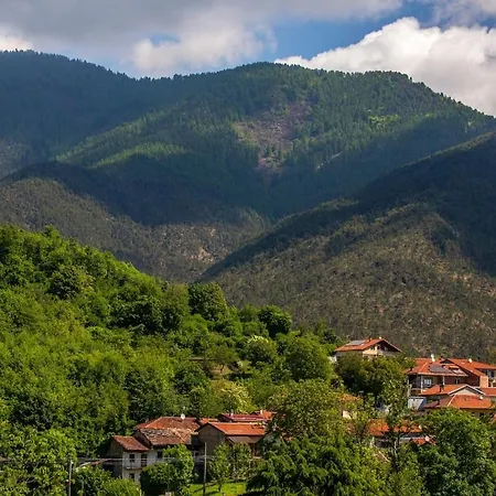 Corte Girodo - Girasole